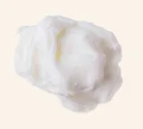 Lemon Sorbet