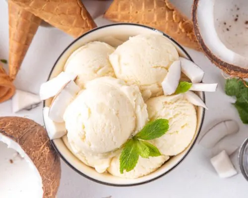 Coconut Sorbet